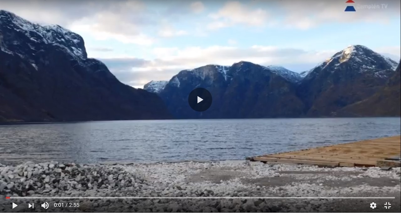video1